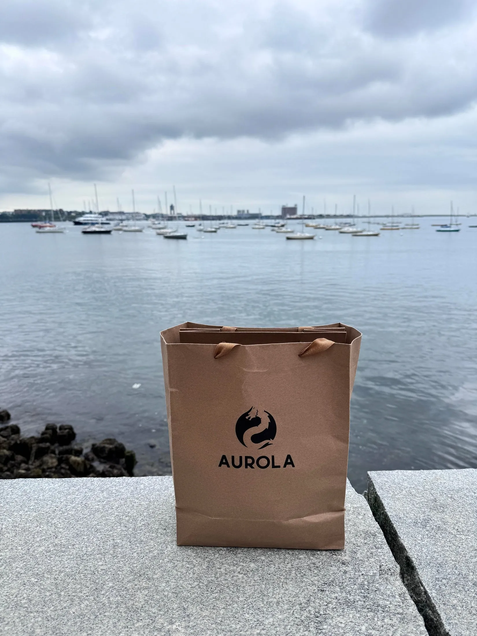 AUROLA Paper Gift Eco-Friendly Bag