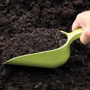 Bamboo Scoop