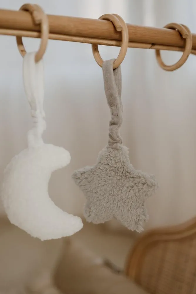 Eco-Friendly Play Gym Toys