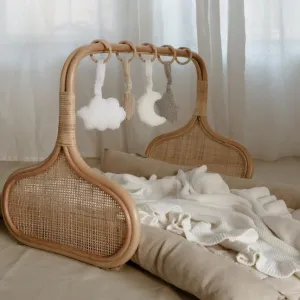 Eco-Friendly Play Gym Toys