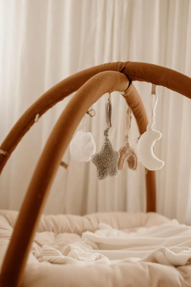 Eco-Friendly Play Gym Toys