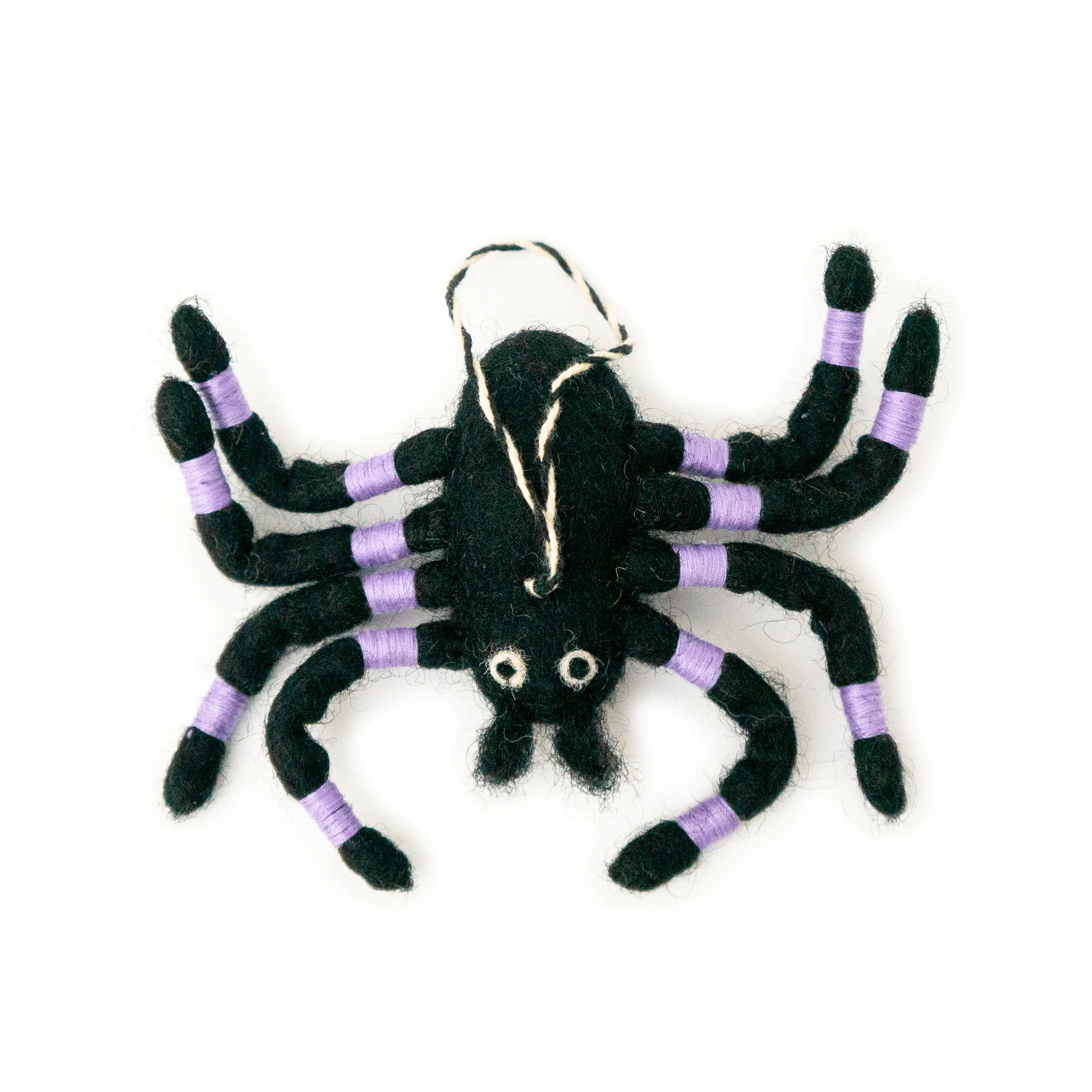 Zippy The Black And Purple Spider